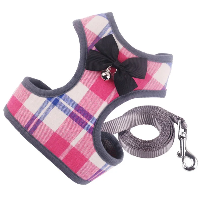 harnais-et-laisse-chien-chat
