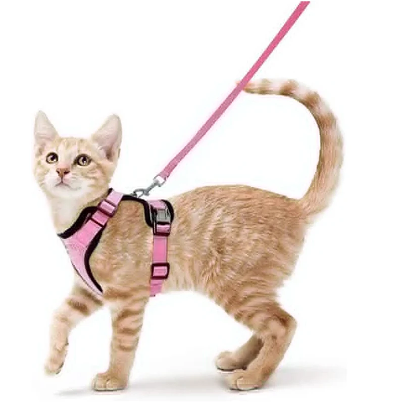 ensemble-de-marche-rose-pour-chat