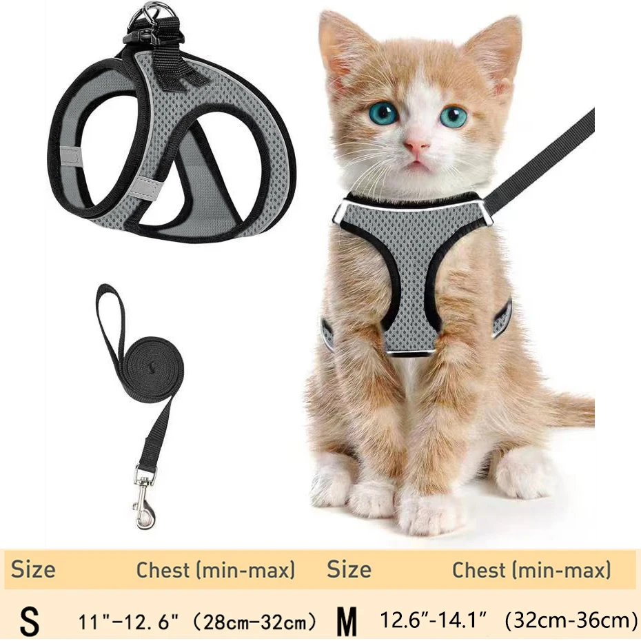 harnais-de-marche-pour-chaton