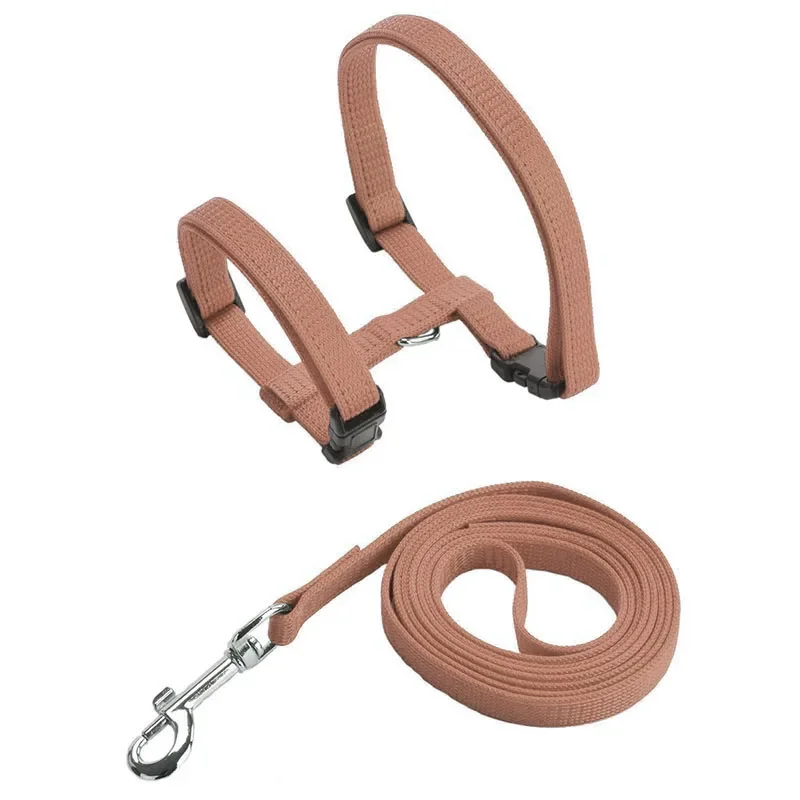 ensemble-promenade-chien-ajustable