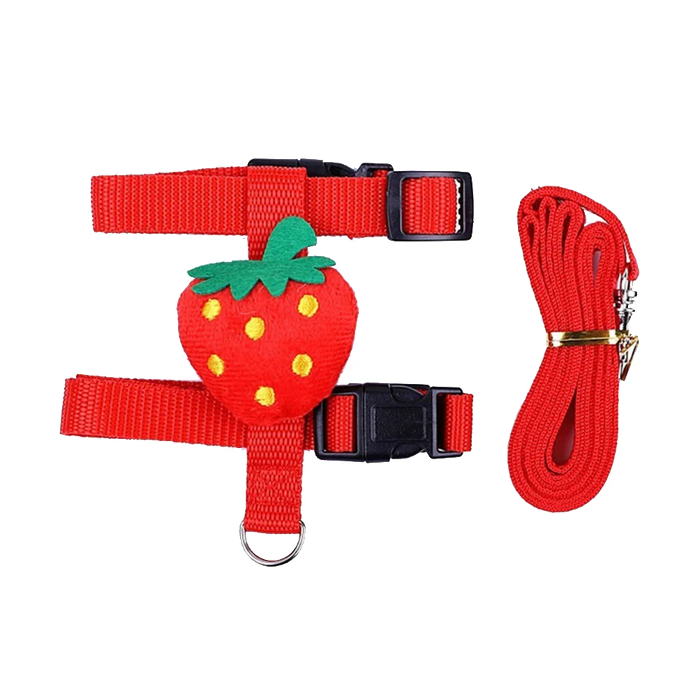 harnais-pour-animaux-fraise