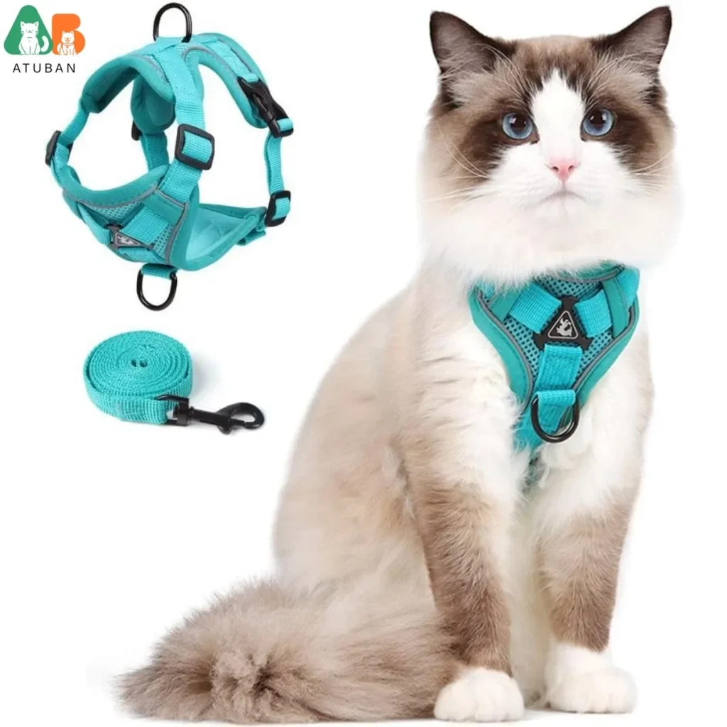 harnais-chat-avec-laisse-teal