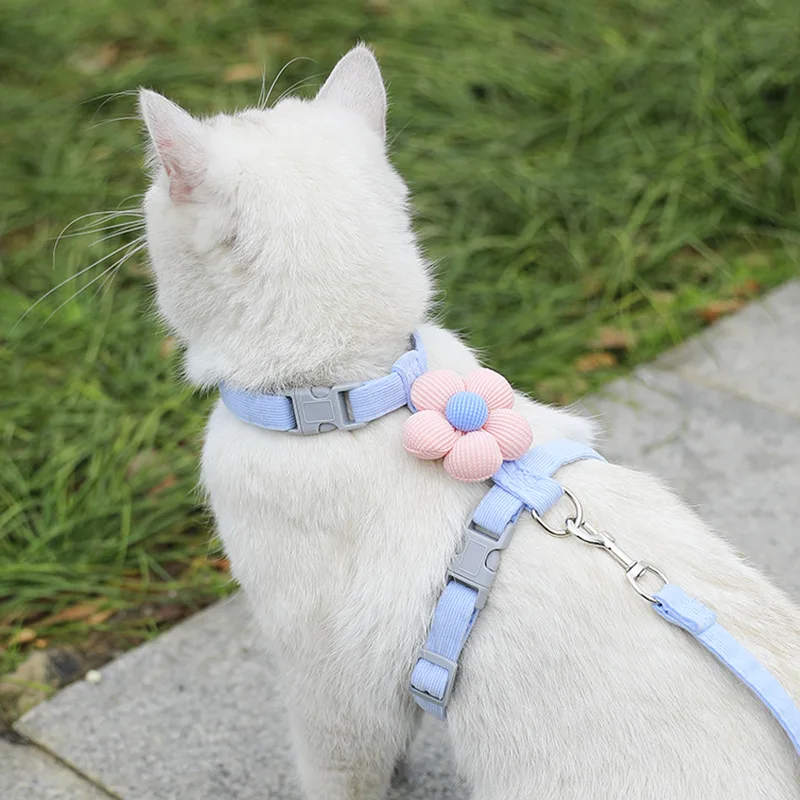harnais-promenade-chat-bleu-fleur