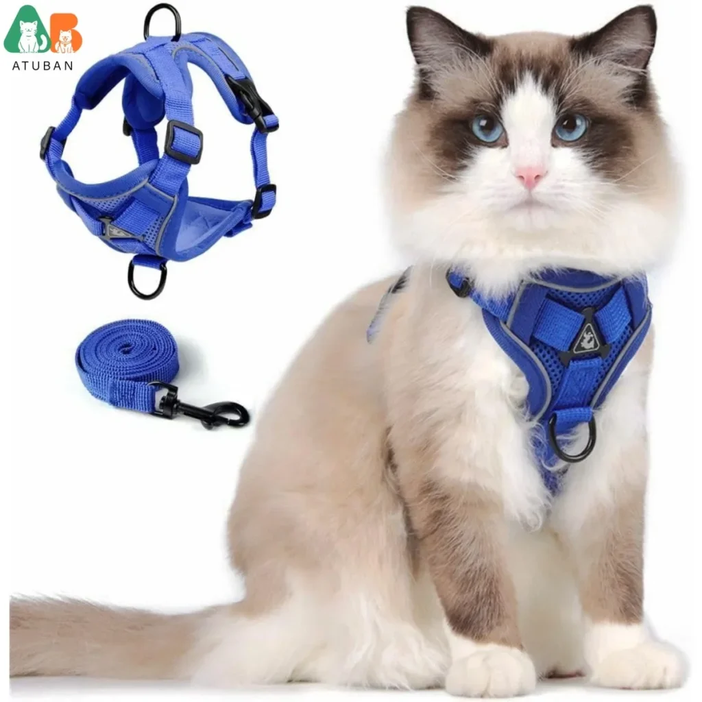 harnais-chat-bleu-promenade