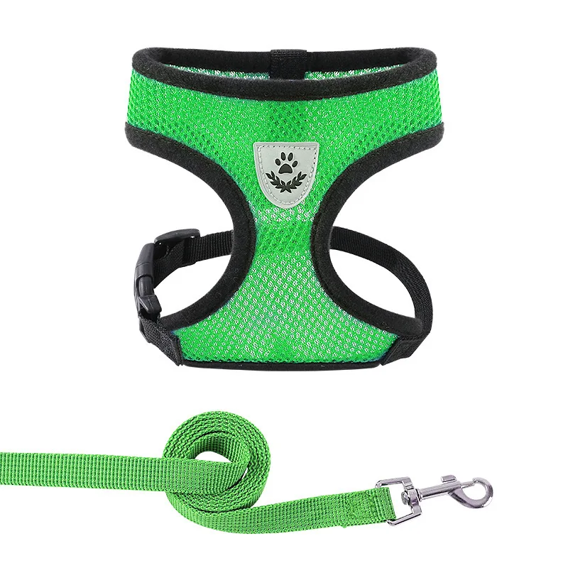 harnais-maille-vert-avec-laisse